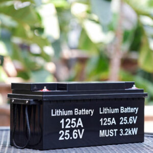 Bateria Litio 125A 25.6V MUST 3.2kw
